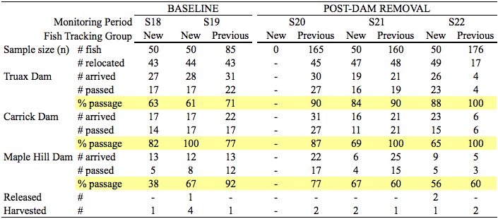 Spring Saugeen Radiotelemetry Results