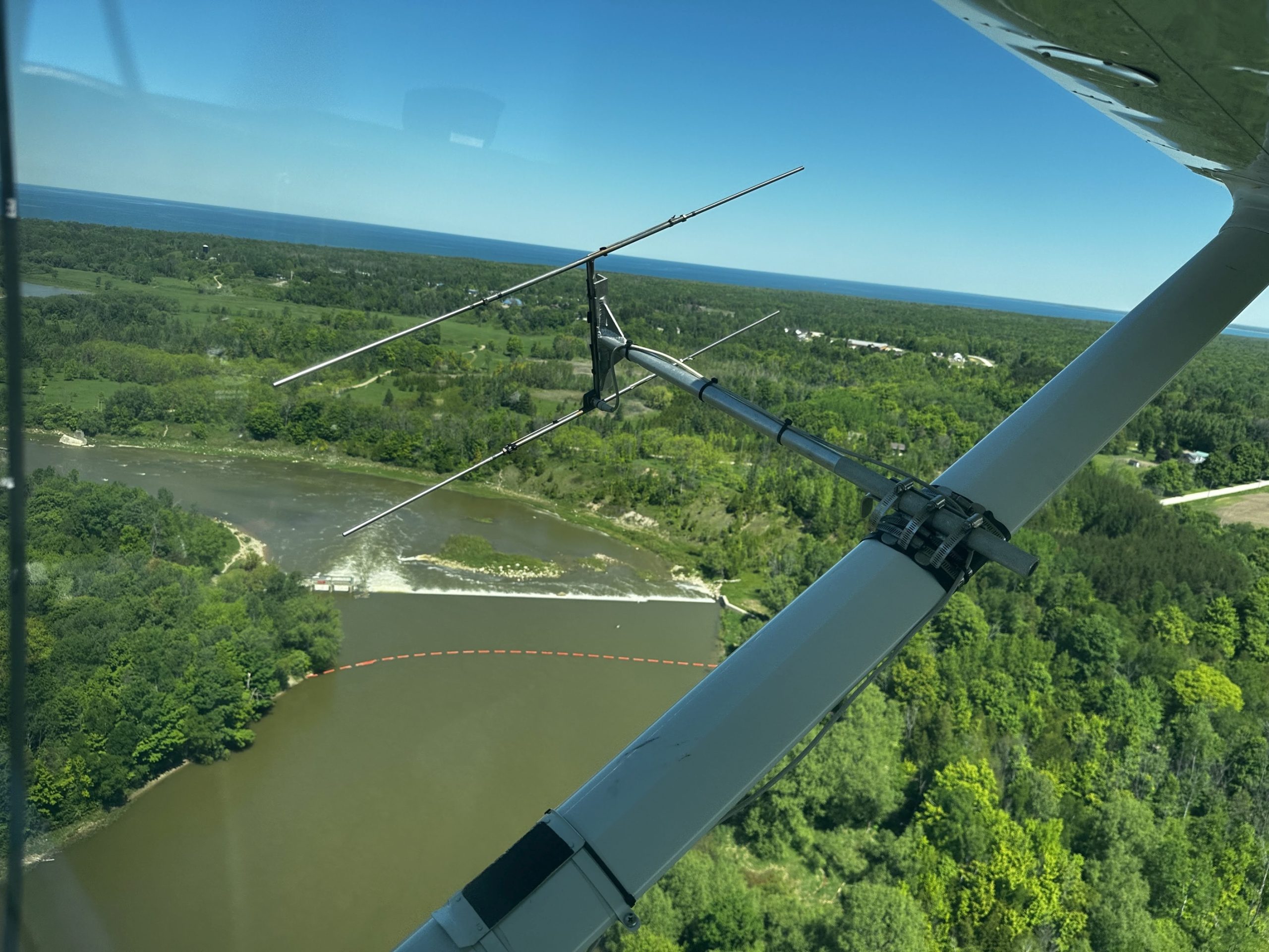 aerial fish tracking