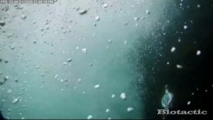 Node 28 February 1 2026