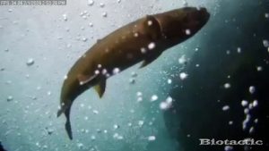 Node 28 February 1 2026