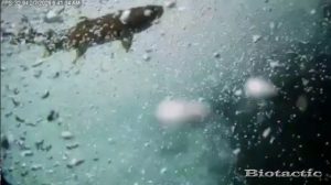 Node 28 February 7 2026