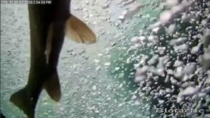 Node 28 March 7 2026