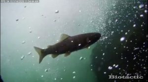 Node 28 March 14 2026